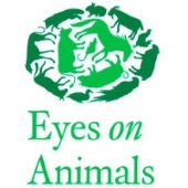 Eyes on Animals
